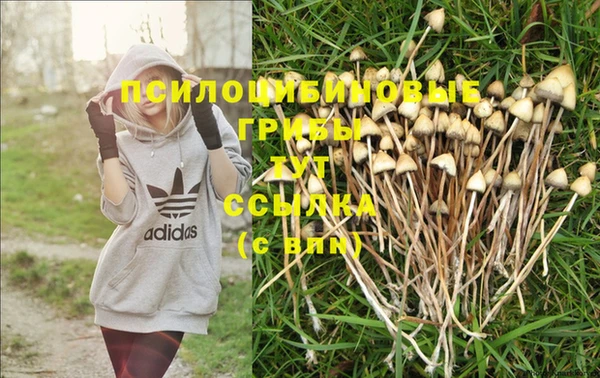 марки nbome Киреевск