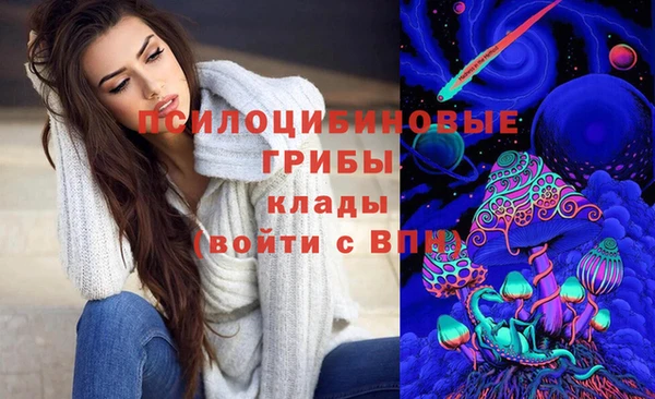 мяу мяу мука Кинешма